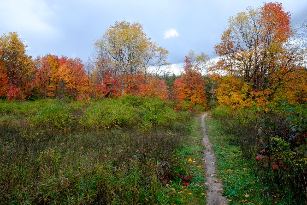 Offield Family Nature Preserve – Sunset Coast Birding Trail